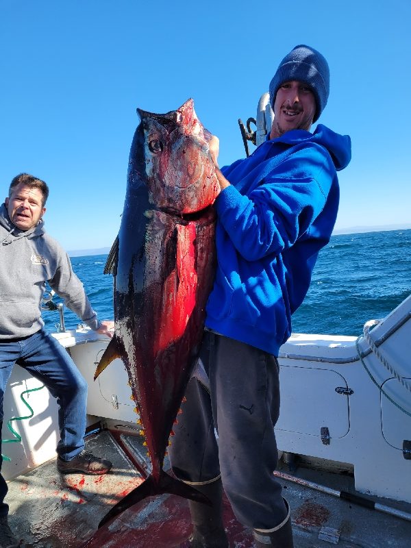 Tuna Trip Info - Monterey Bay and Santa Cruz Fishing Charters