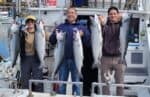 Three anglers holding large salmon caught during a fishing trip out of Santa Cruz.